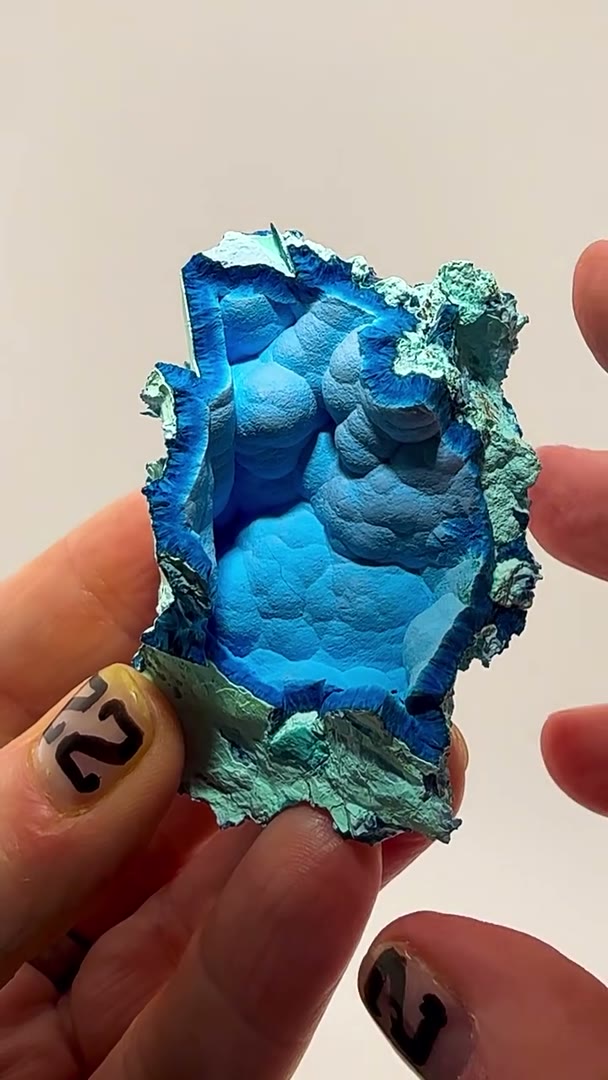Nature’s velvet masterpiece