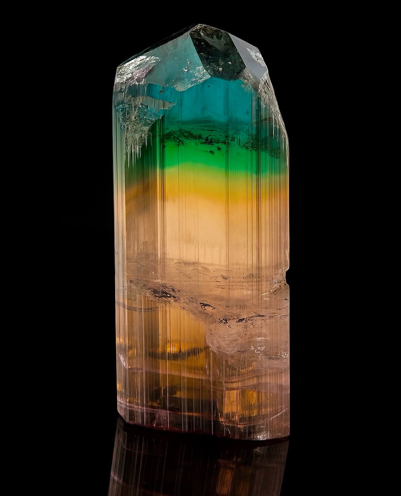 Nature painted this one with a full spectrum