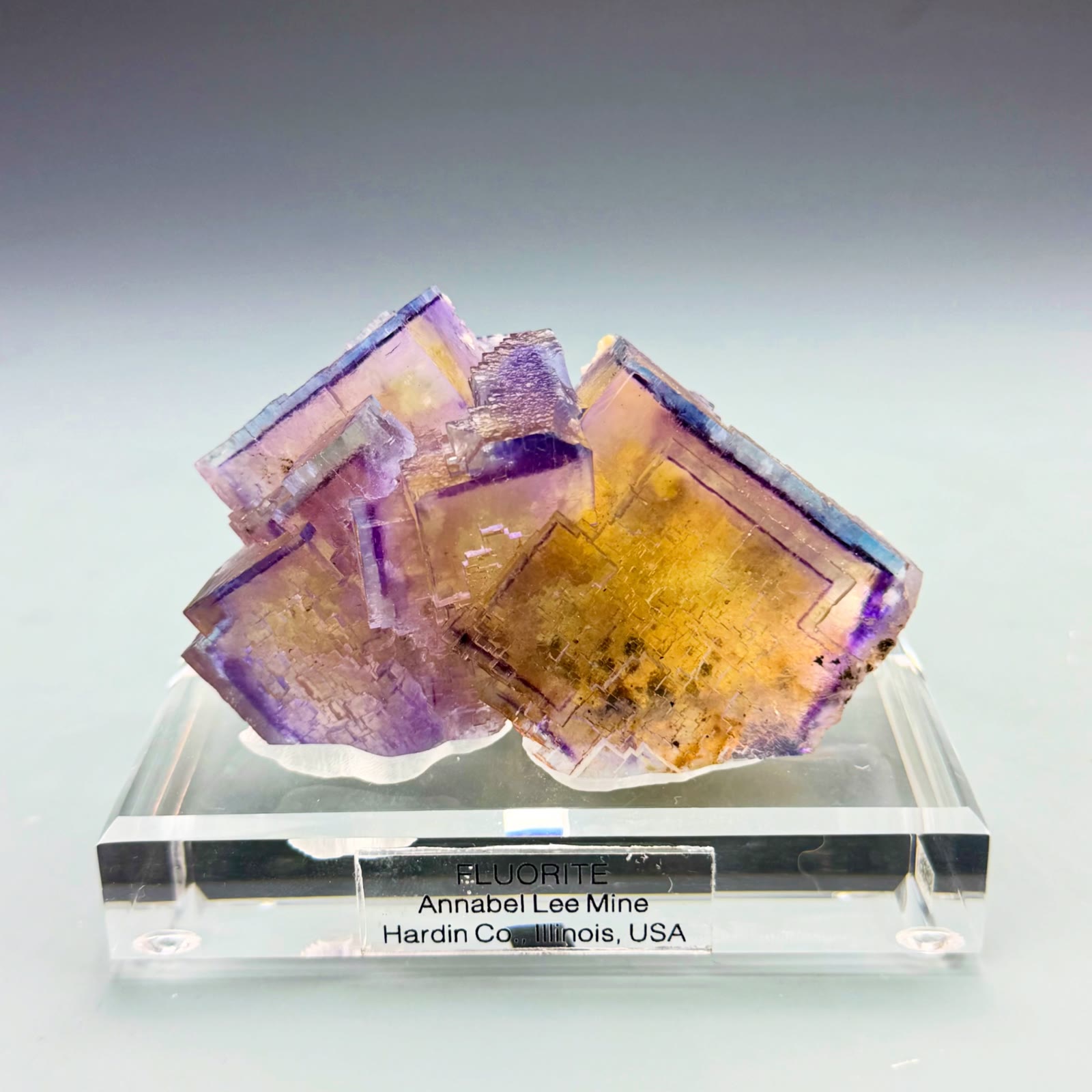 Purple. Gold. Blue. Perfection