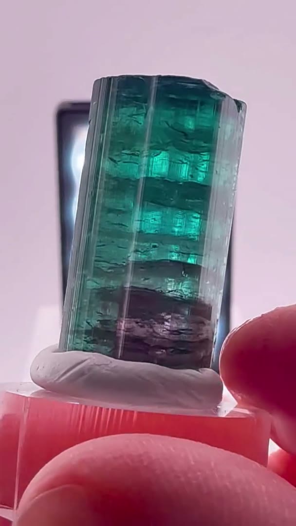 Electric color play from the legendary Aqua Branca pocket