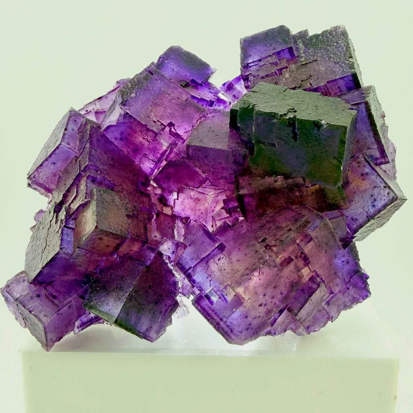 Pure Enchantment... Denton Mine Fluorite , Hardin County, Illinois
