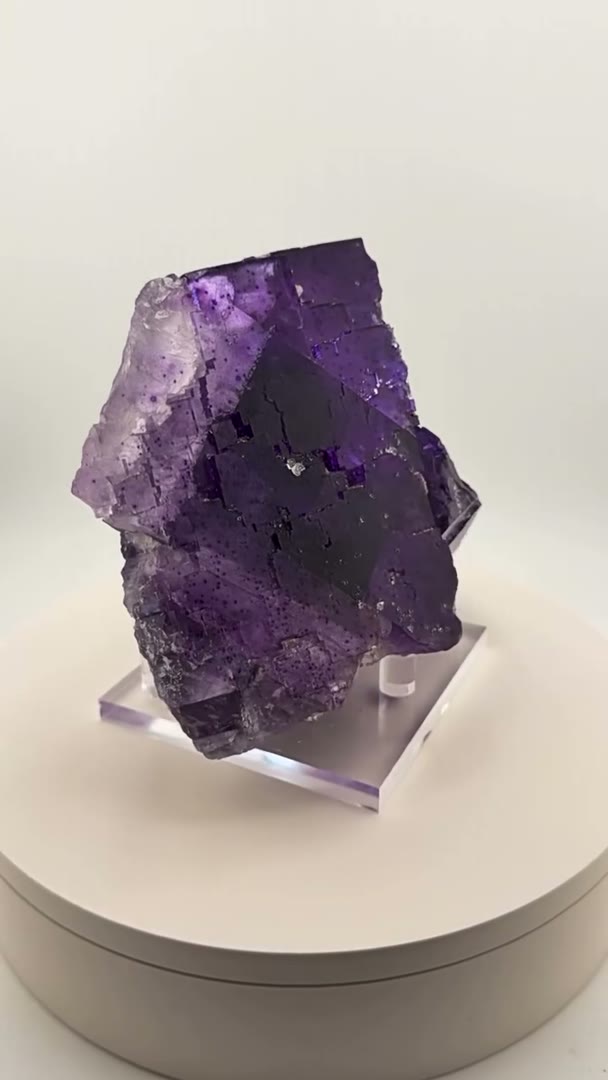 Purple in motion