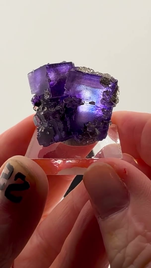Blurple zoning + sparkle combo… this one hits