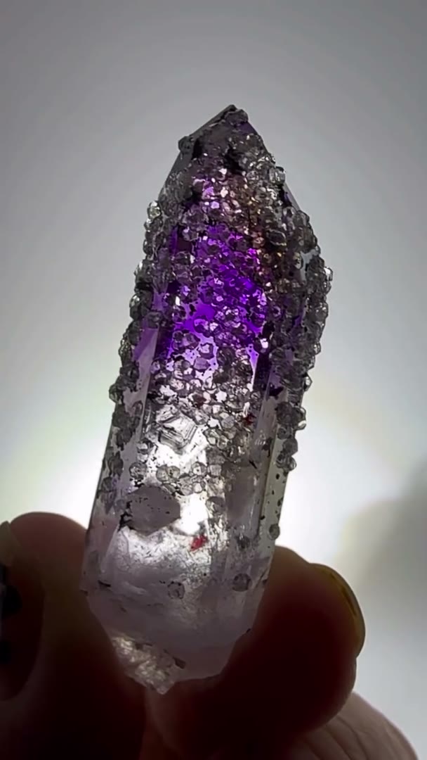 SHOW STOPPER… SPARKLE CITY STREEP