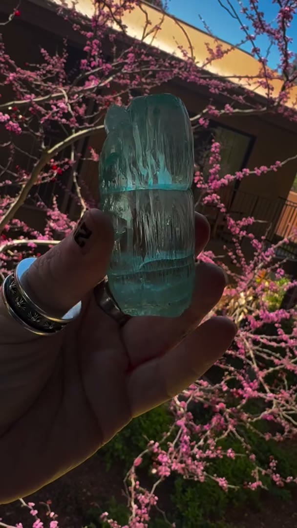 Spring in motion… blossoms waking up, light dancing through the trees, and…