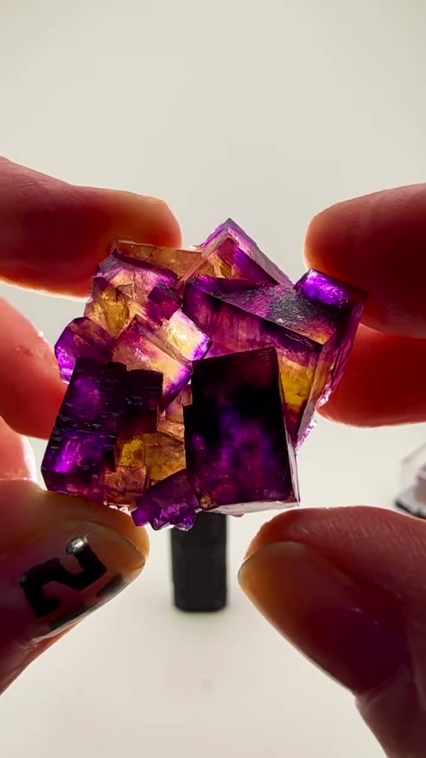 New arrival… small but absolutely explosive