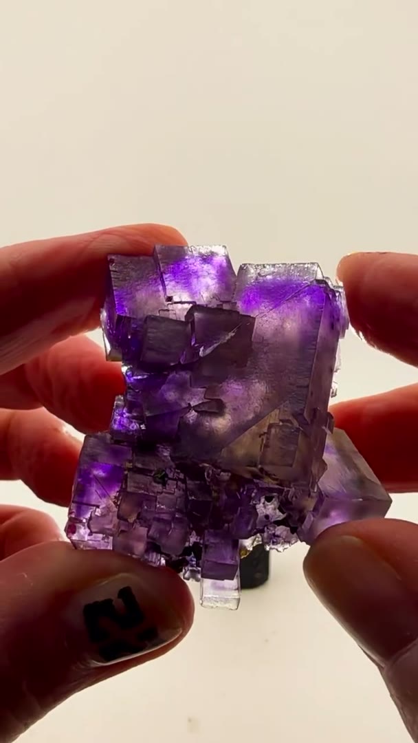Metallic meets blurple… next-level Illinois