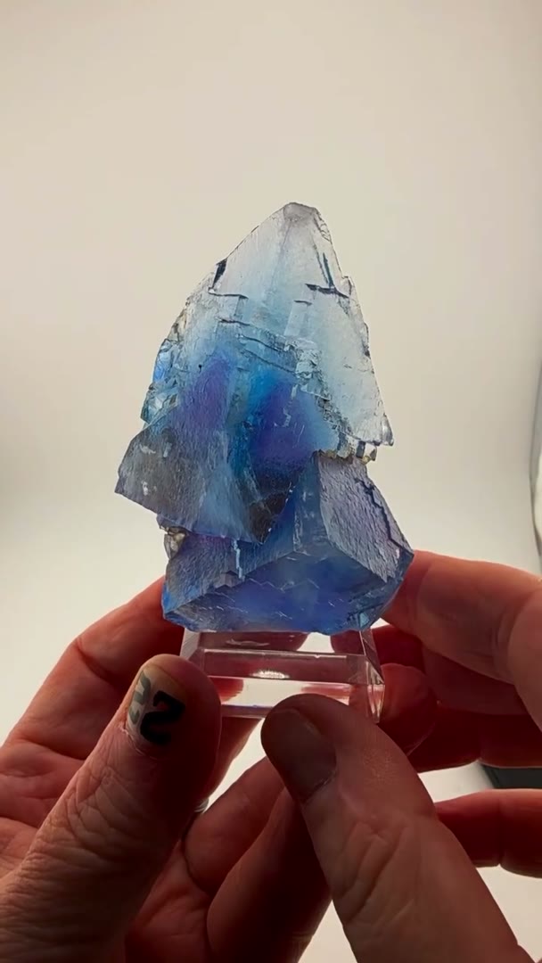 Blue-on-purple perfection