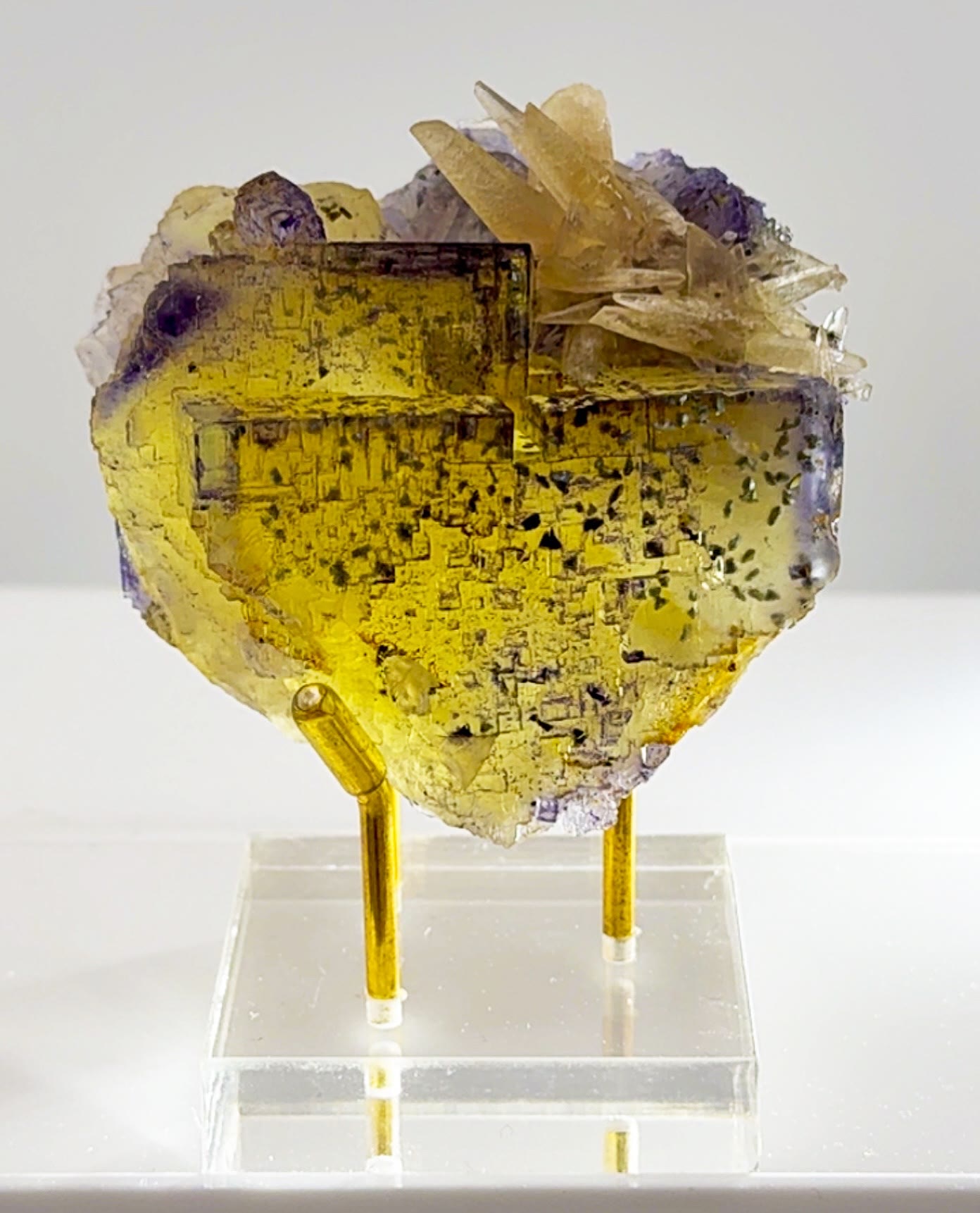 Illinois gold meets violet geometry