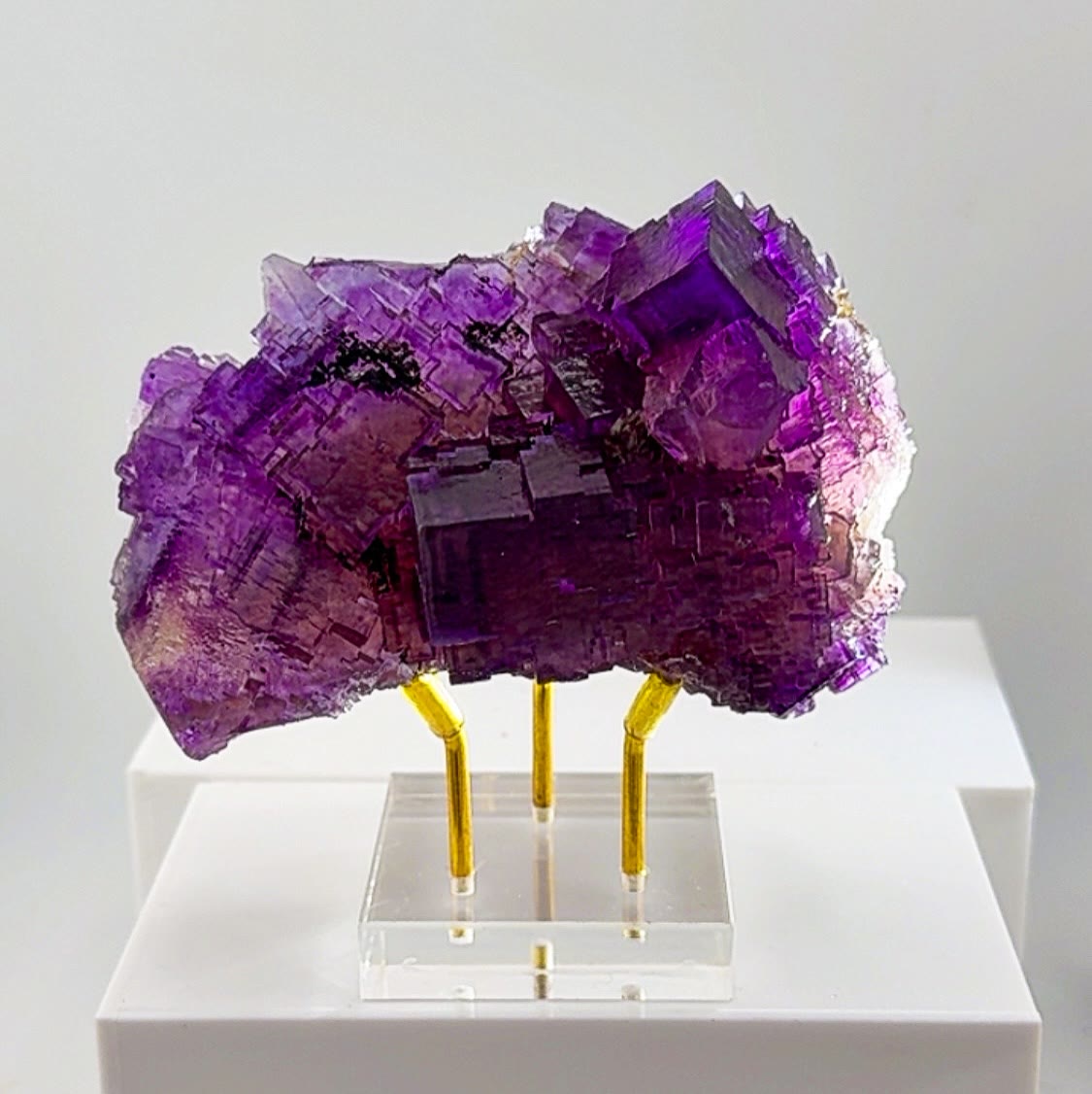 Deep violet architecture from Denton