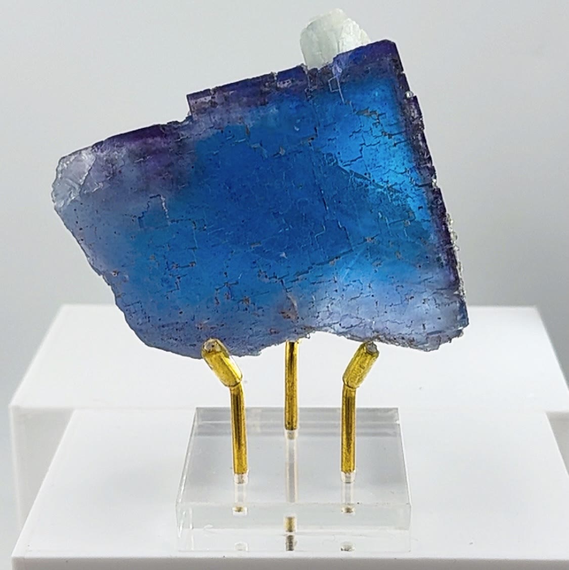 Electric Illinois glass with pedigree