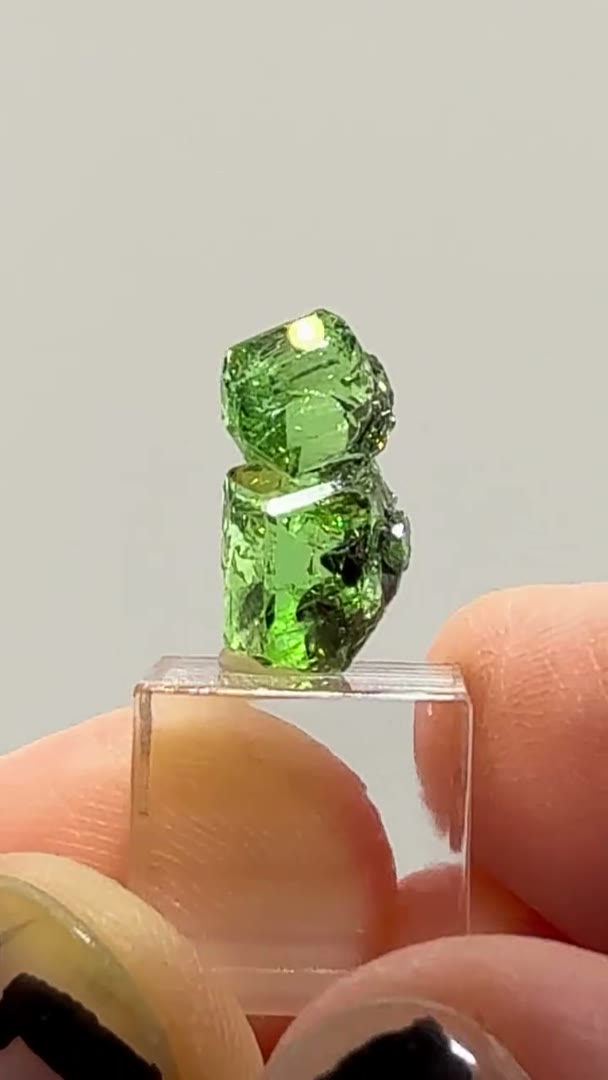 Electric green perfection in miniature