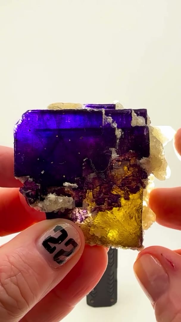 MINERVA No. 1 MAGIC