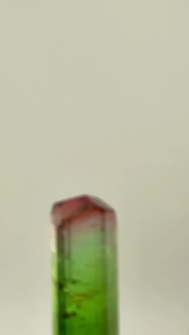 ABSOLUTE PAPROK MAGIC