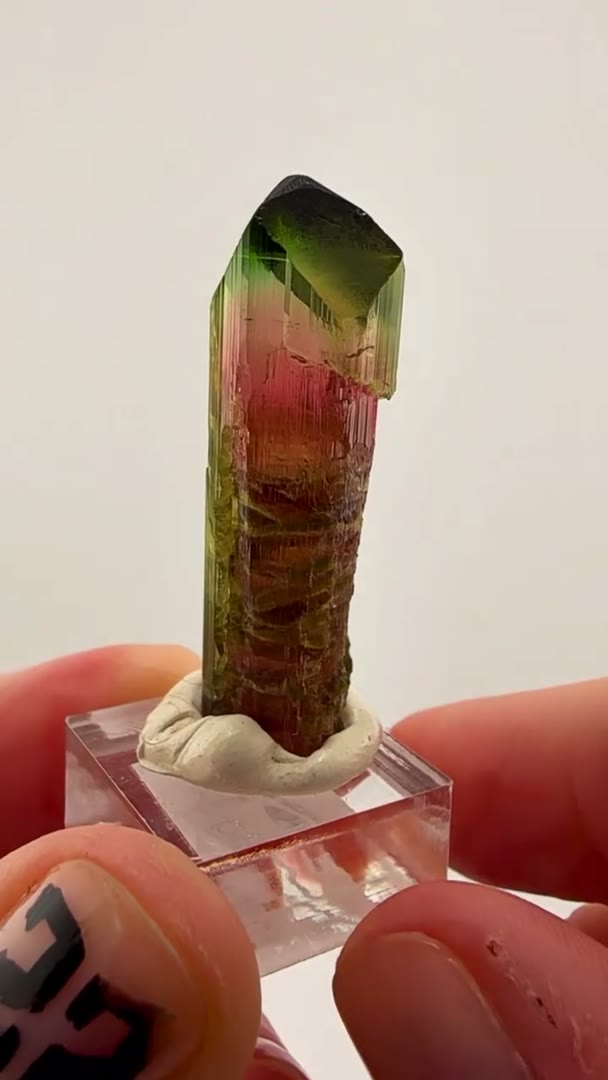 ARICANGA Partial SCEPTER RARITY