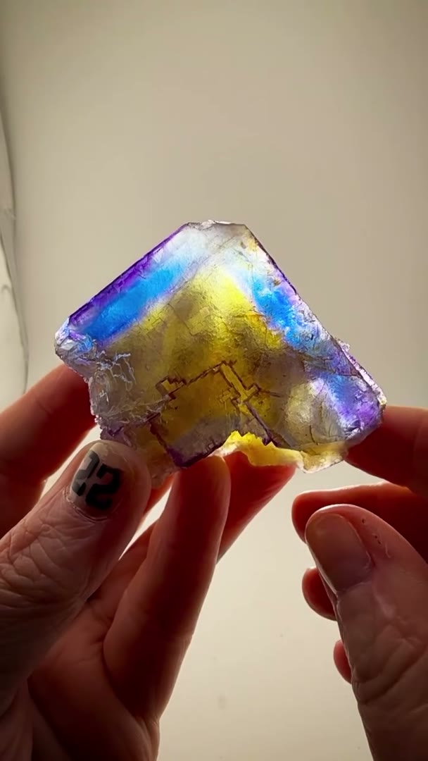 BLUE & GOLD BLURPLE MAGIC