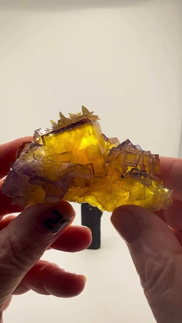 GOLDEN GLOW x BLURPLE EDGE