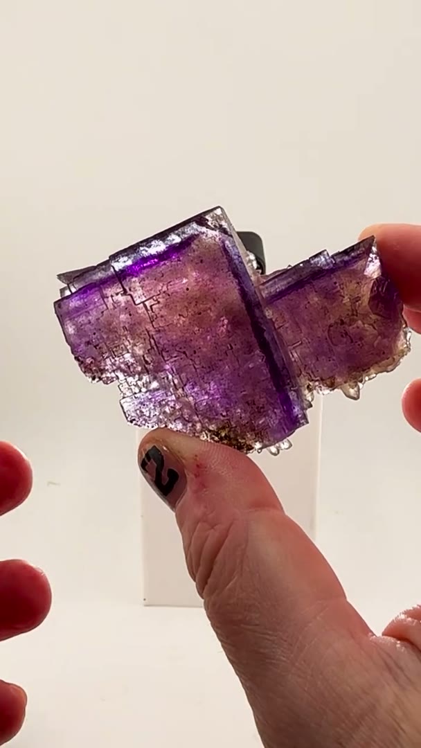 Illinois blurple magic in its purest form