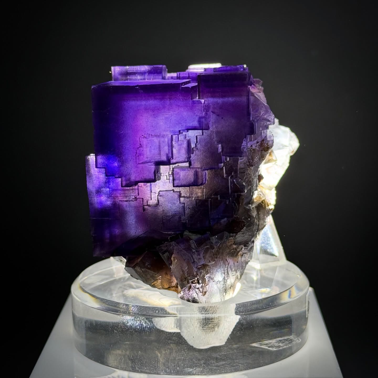 Deep violet perfection from a classic Illinois pocket