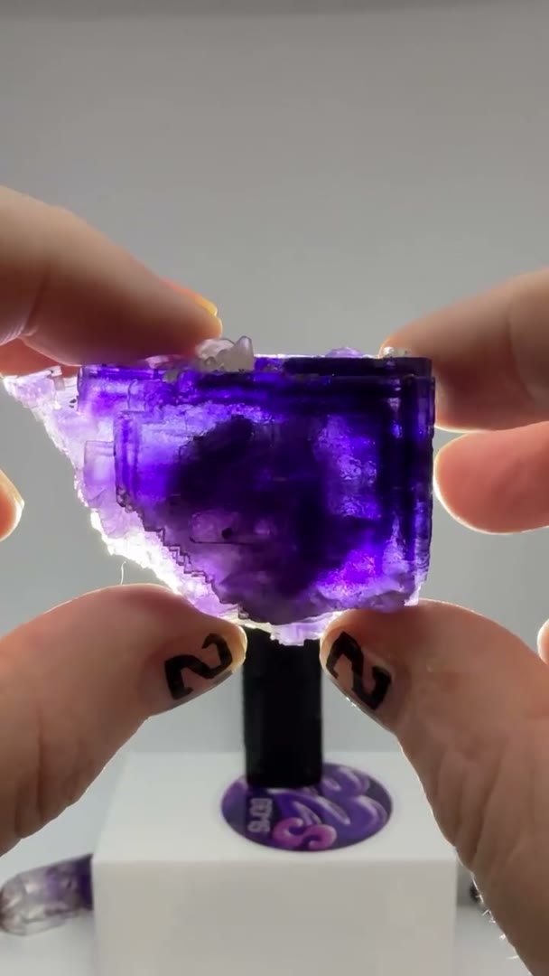 Illinois royalty in deep violet