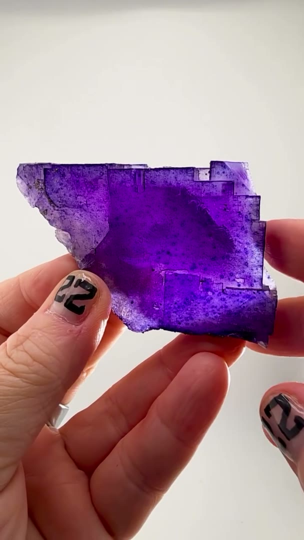 Deep Illinois violet, backed by history