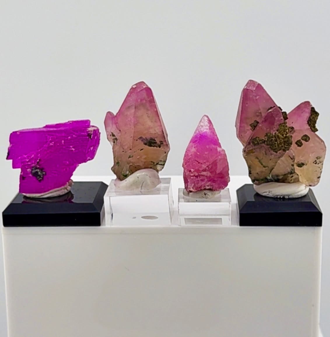 Electric pink lineup straight out of the Congo