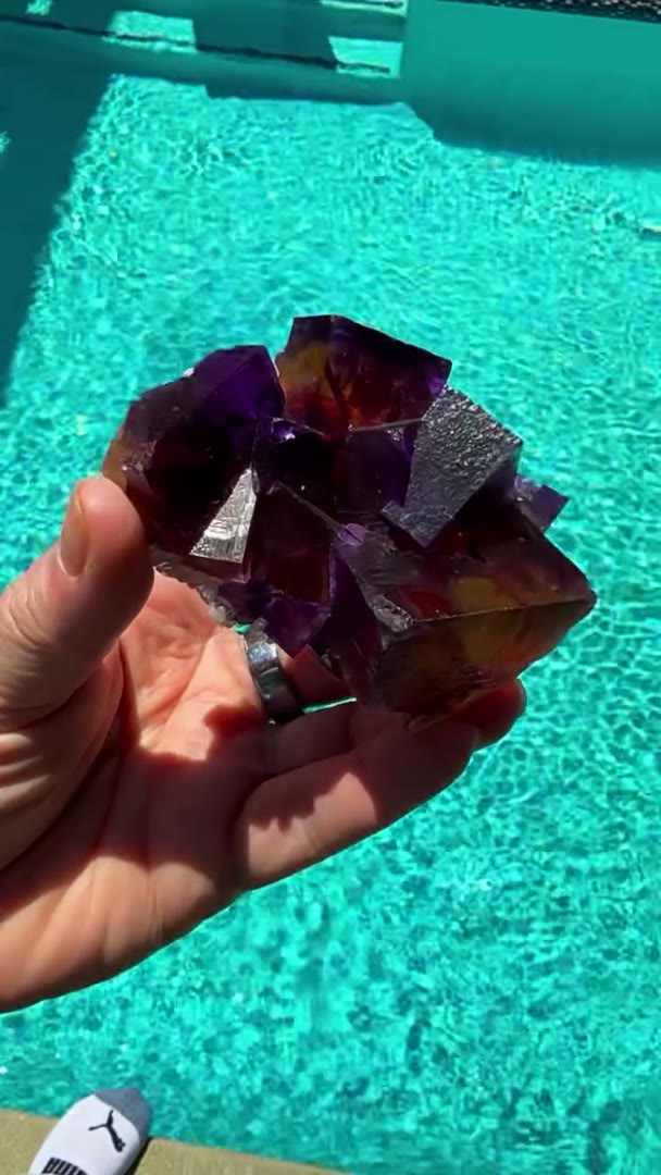 POOLSIDE MINERVA MAGIC