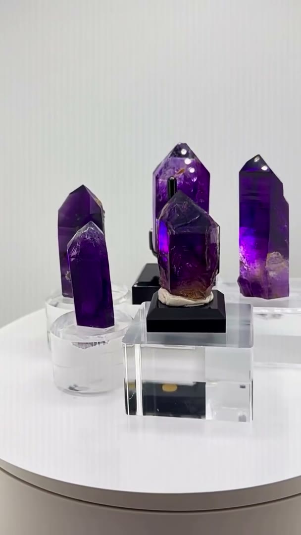 Five absolute Buks Claim blurple bangers in motion