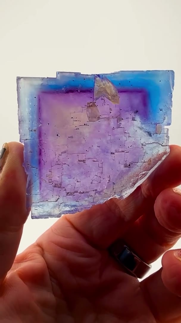 Illinois blurple perfection