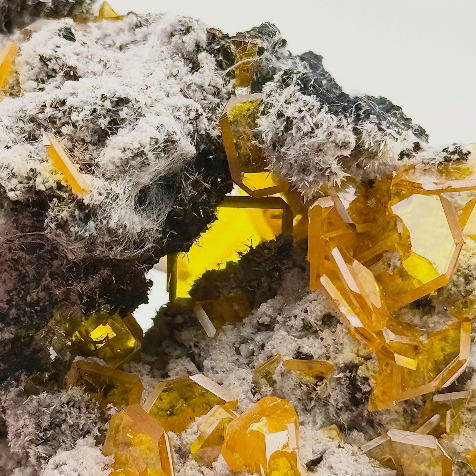 Golden fire on ghostly white