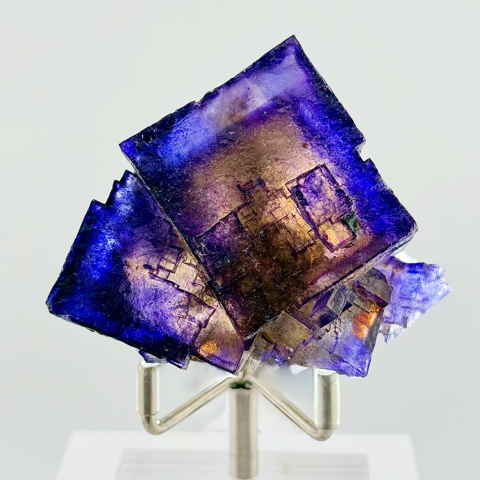 Electric blurple perfection straight out of Southern Illinois